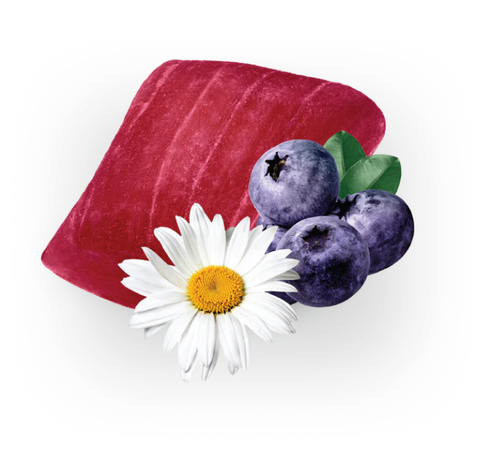 Happy Huckleberry - 3 pack